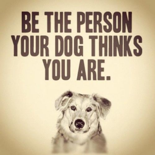 Dogs Love Quotes and Sayings with Cute Images