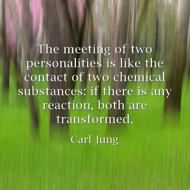 Carl Junk Quotes