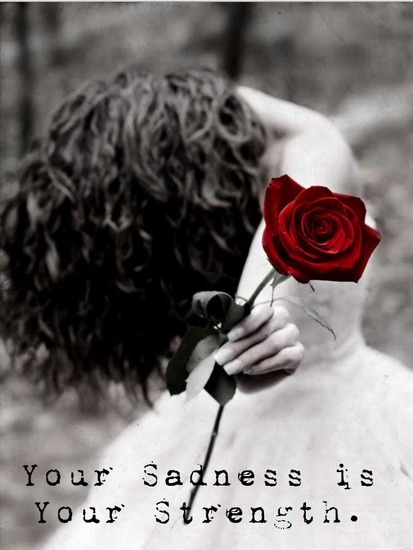 red rose positive sad quote for you