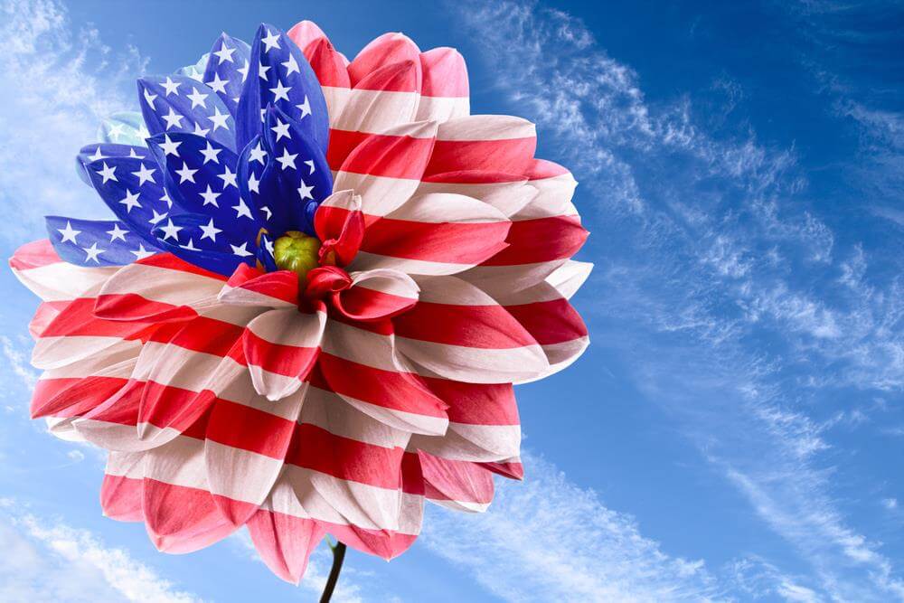 Beautiful Memorial Day Background Images
