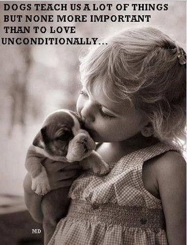 Cute puppy love quotes