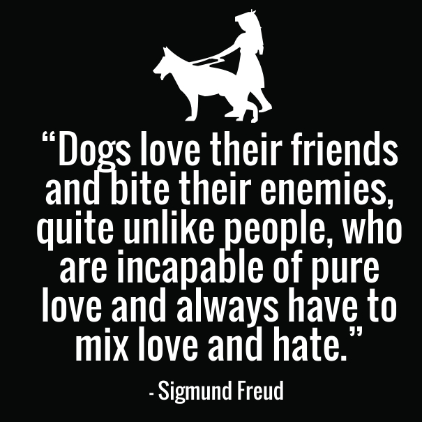 Funny dog lovers Quotes