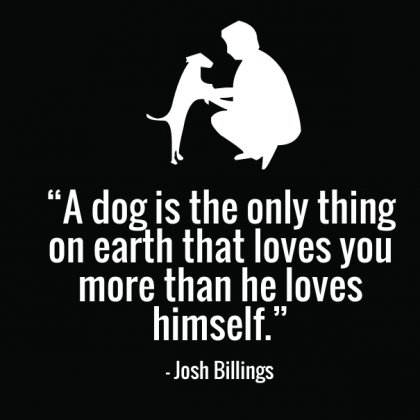 12 Cute Dog Quotes for Dog Lovers with Funny Images