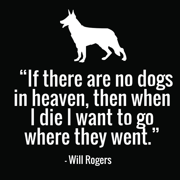 dog death quotes