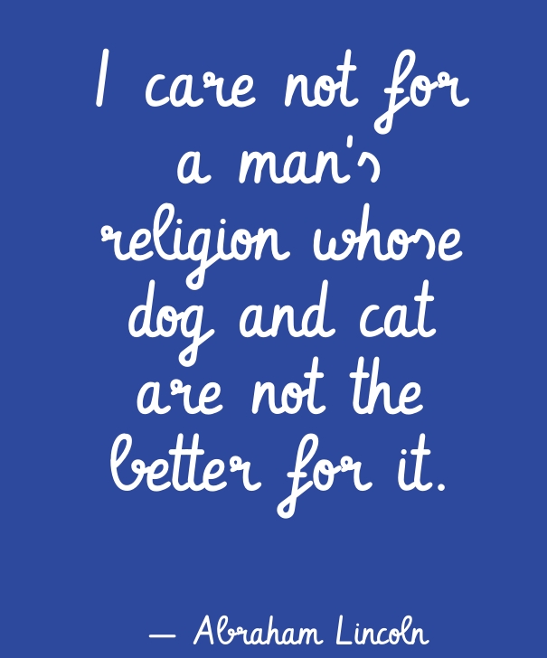 dog loyalty quotes