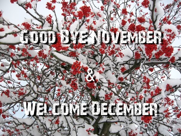 Goodbye November Hello December Quotes