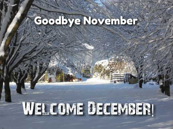 Goodbye November welcome December Quotes images
