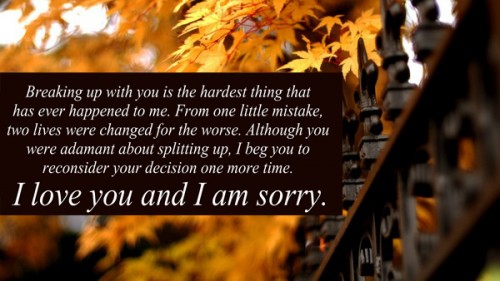 apology love quotes