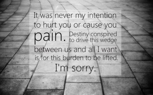 sorry my love quotes and sayings