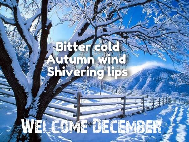 welcome december month quotes