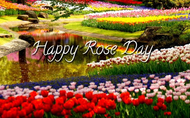 Cute Happy Rose Day 2018 Pictures