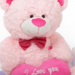 I love you pink teddy beart with heart
