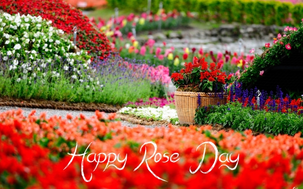 Rose day images