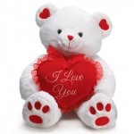 Valentine day white teddy bear I love image