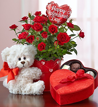 valentine's day roses and teddy bear