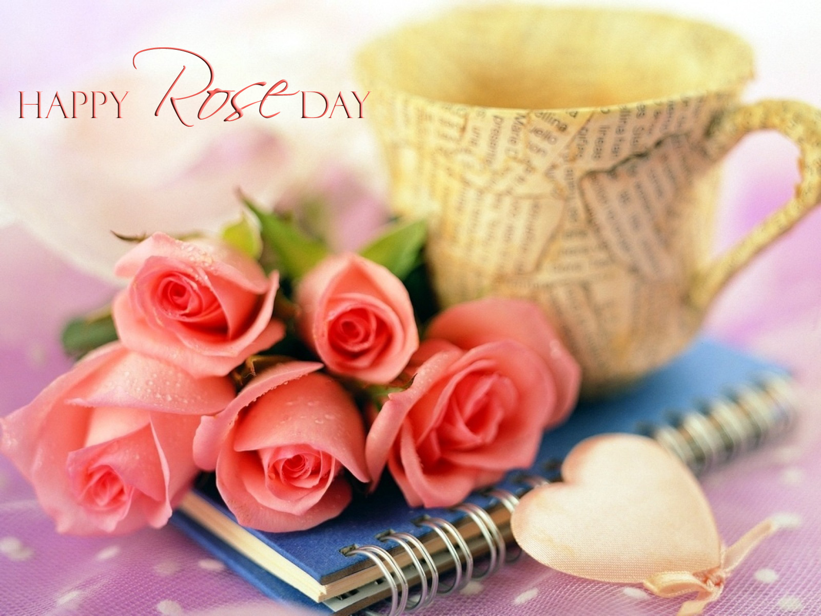 Best Rose Day HD Wallpaers