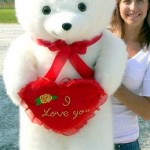 teddy bear valentines day for him her