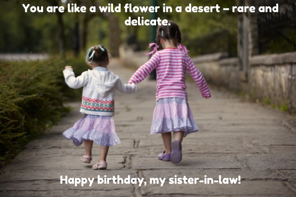 Top 30 Birthday Quotes for Sister in Law with Images (2023)