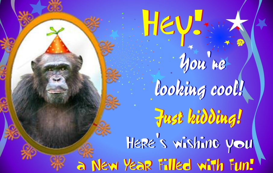 Hilarious New Year Greeting Cards
