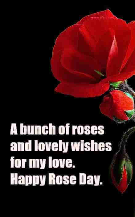 Cute Rose Day Quotes For Her
