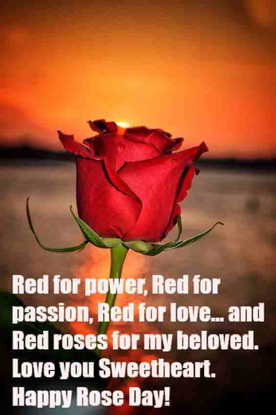 Happy Rose Day Quote Image