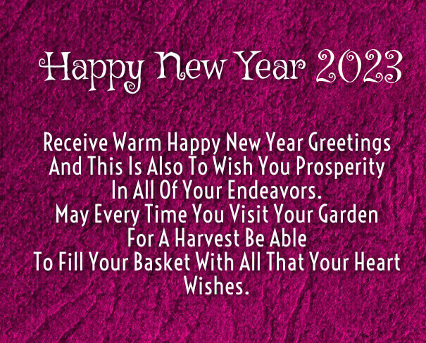 Happy New Year 2023 Warm Wishes