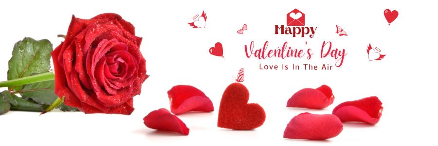 Happy Valentines Day Cover Photo Hd Red Rose Petals