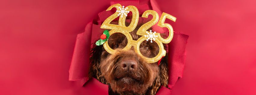 Happy New Year 2025 Facebook Timeline Banner Cover Red And White