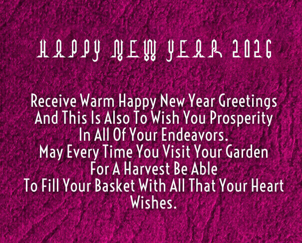 Happy New Year 2026 Warm Wishes